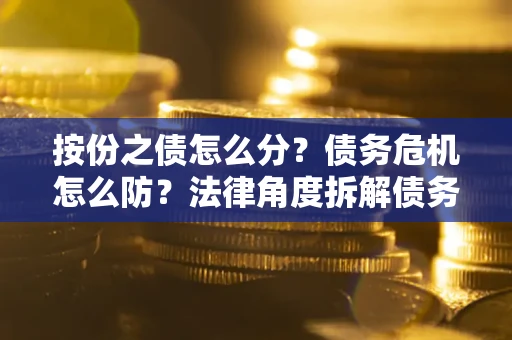 北京按份之债怎么分？债务危机怎么防？法律角度拆解债务分配与风险自保指南