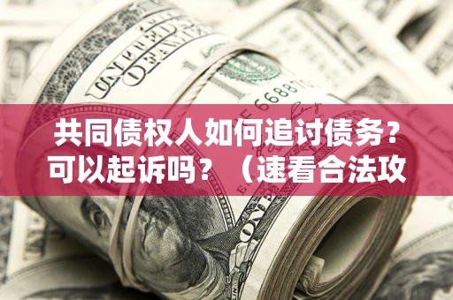 北京共同债权人如何追讨债务？可以起诉吗？（速看合法攻略）