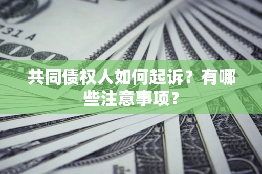 北京共同债权人如何起诉？有哪些注意事项？