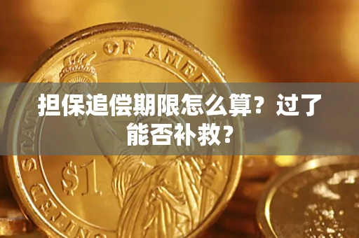 北京担保追偿期限怎么算？过了能否补救？